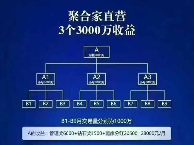 聚合家2025年新政策解读